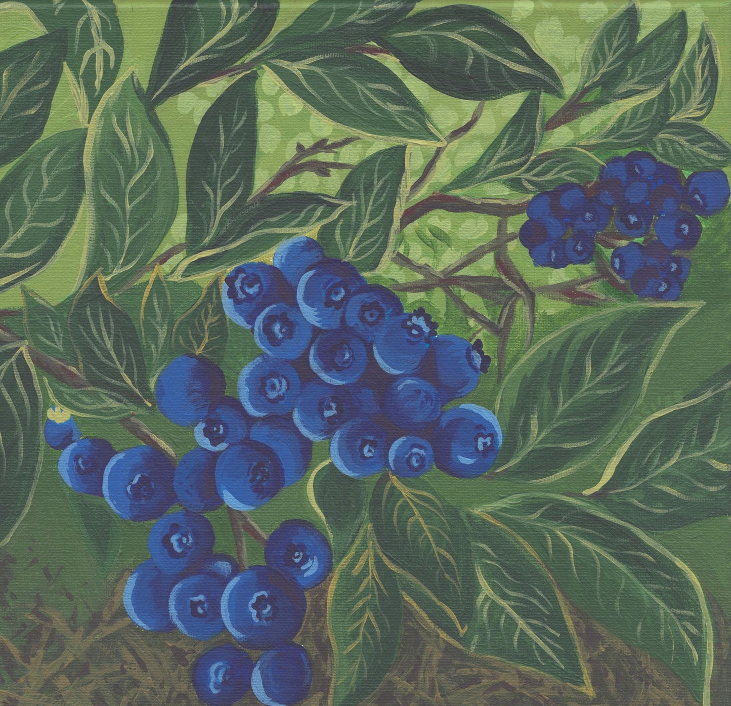 Blueberries