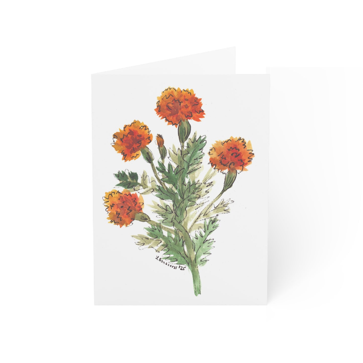 Marigold Greeting Cards (10 or 30 pc)