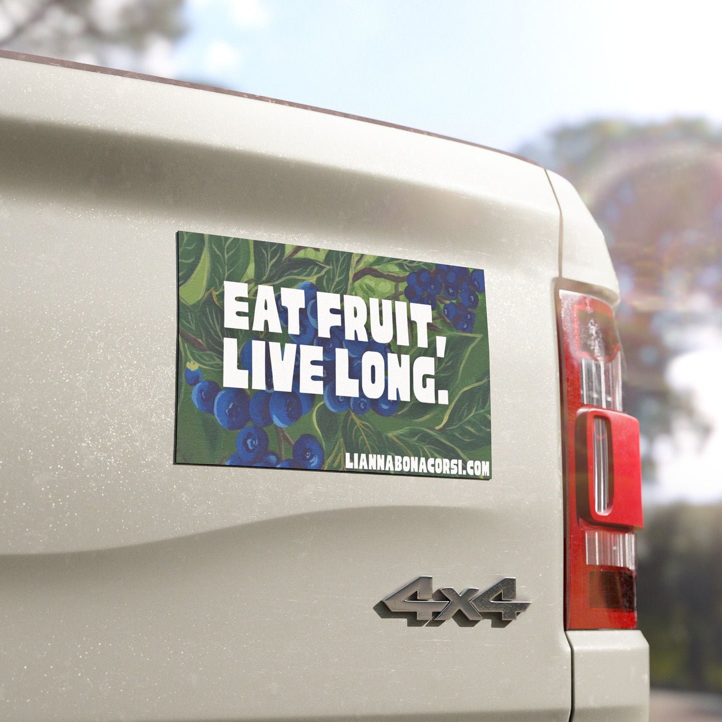 EAT FRUIT, LIVE LONG car magnet, blueberries