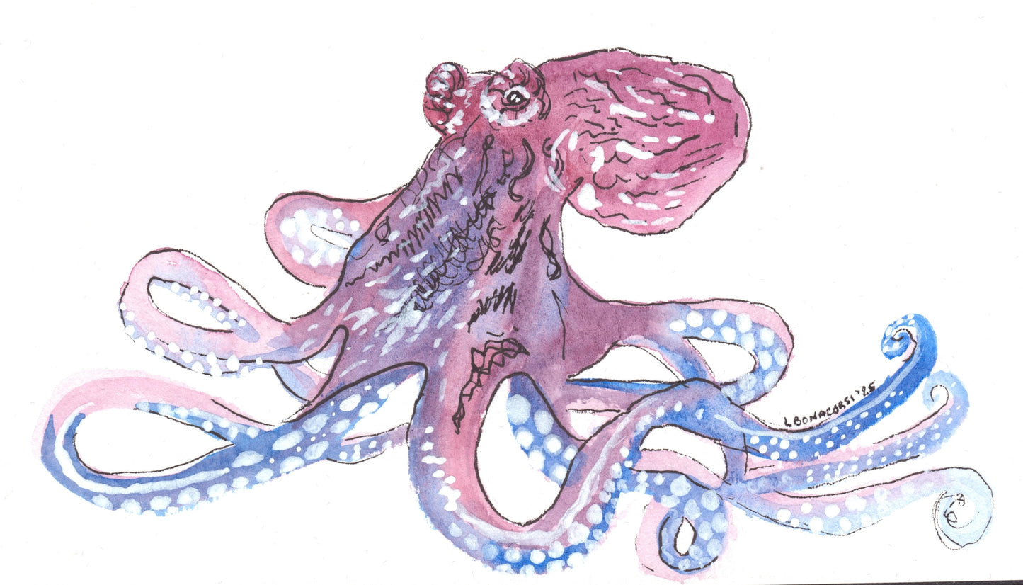 Caribbean Creatures Full Collection of 9