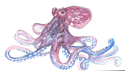 Caribbean Creatures Full Collection of 9