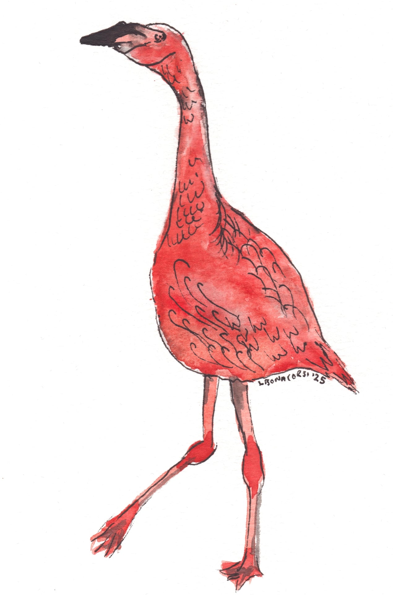 Flamingo