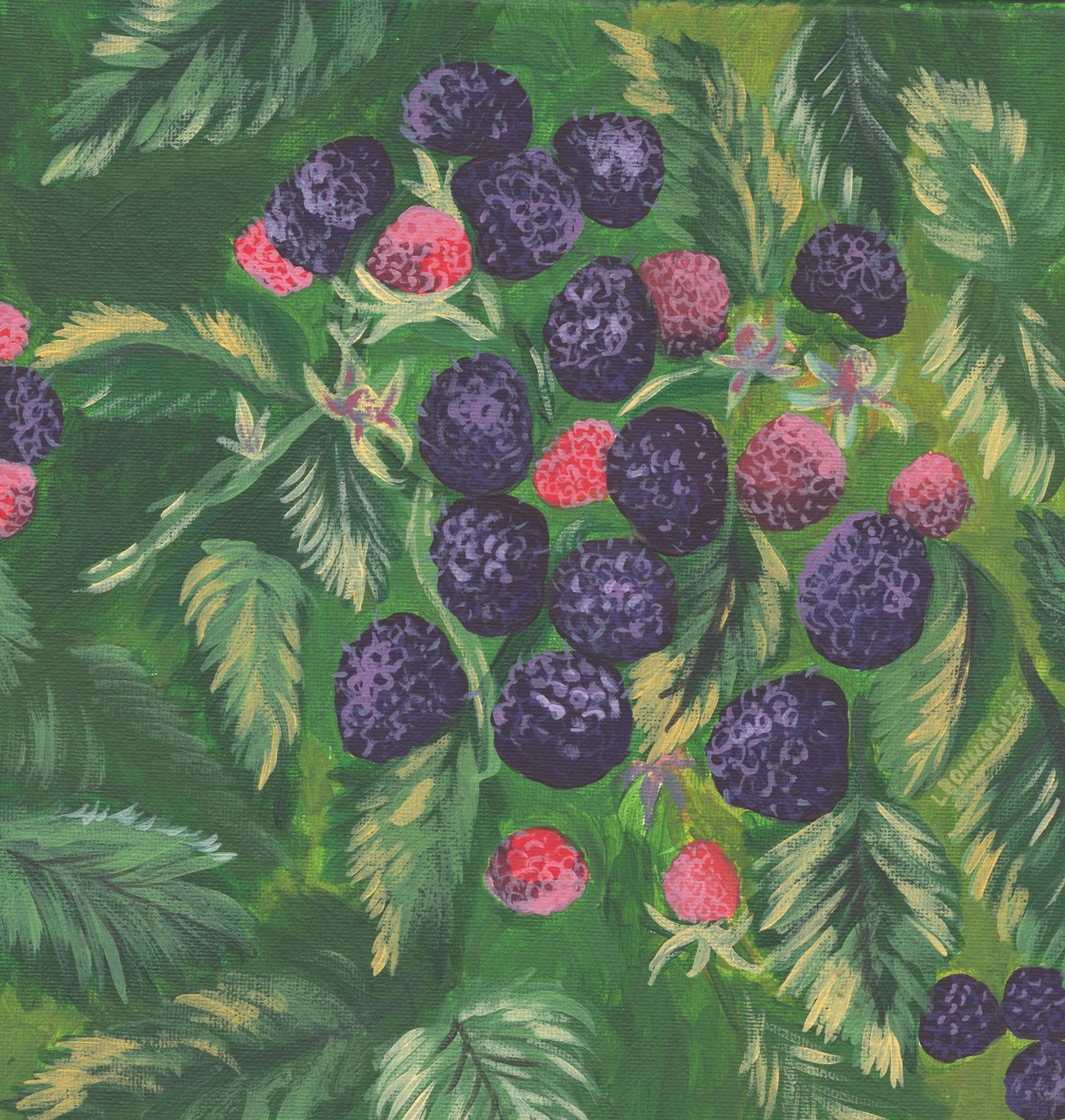 Black Raspberries
