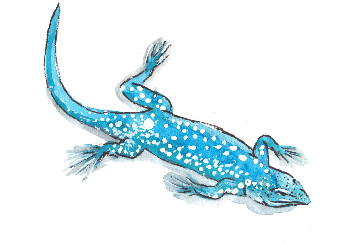 Caribbean Creatures Full Collection of 9