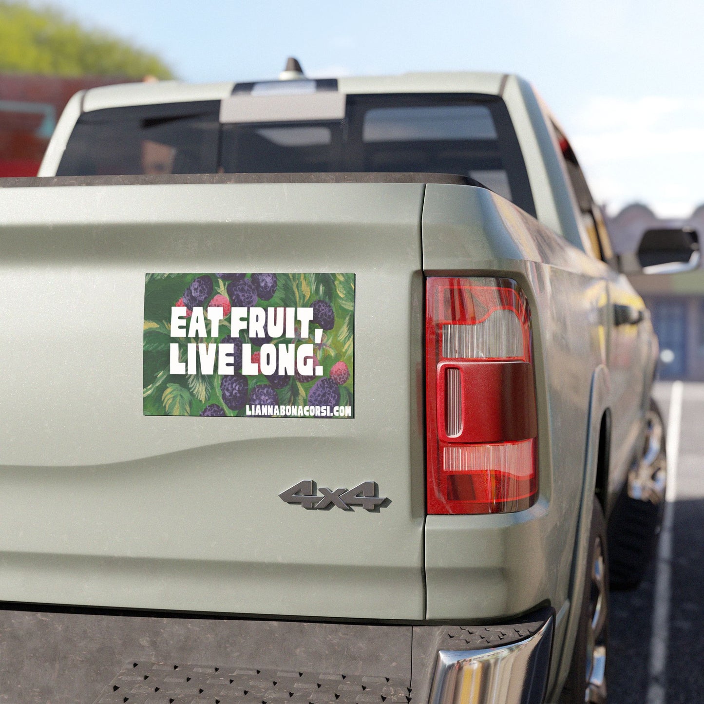 EAT FRUIT, LIVE LONG car magnet, black raspberries