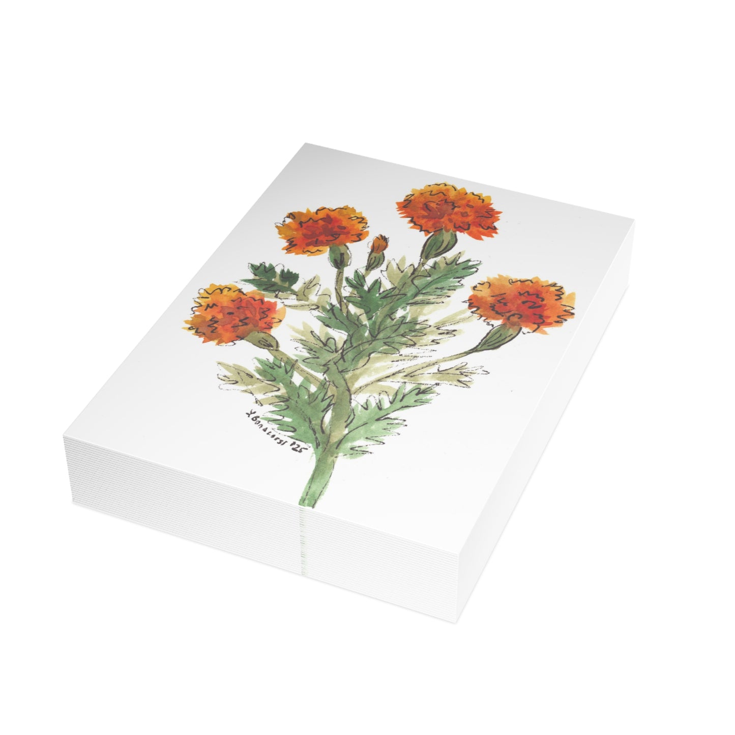Marigolds Postcards  (5x7in • 10, 30, or 50pc)