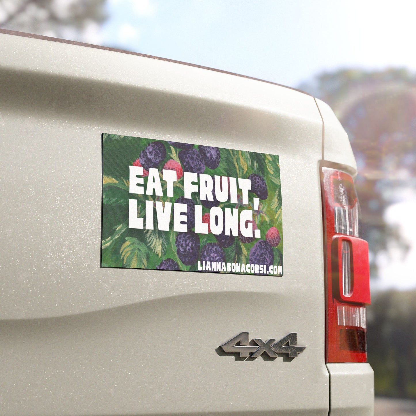 EAT FRUIT, LIVE LONG car magnet, black raspberries