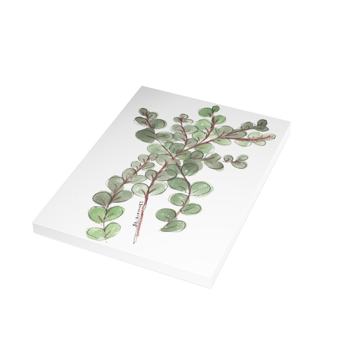 Eucalyptus Postcards (5x7in • 10, 30, or 50pc)