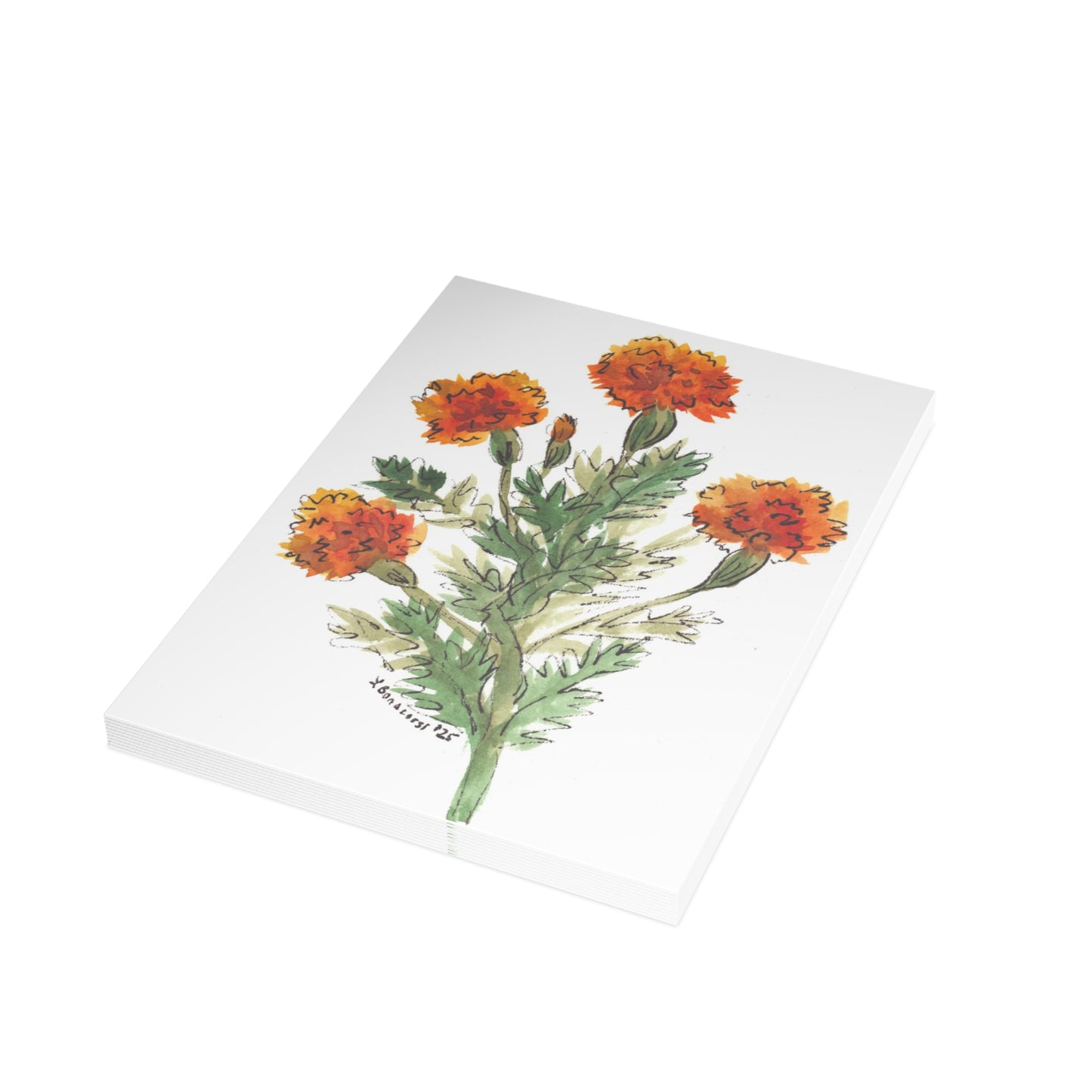 Marigolds Postcards  (5x7in • 10, 30, or 50pc)