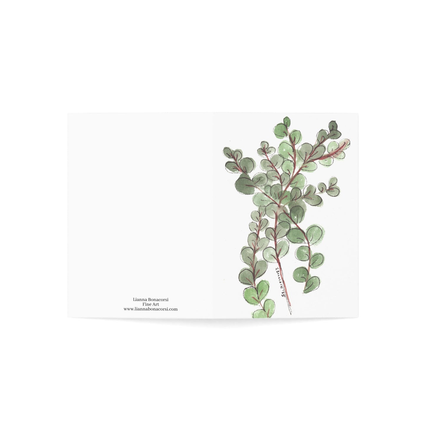 Eucalyptus Greeting Cards (10 or 30 pc)