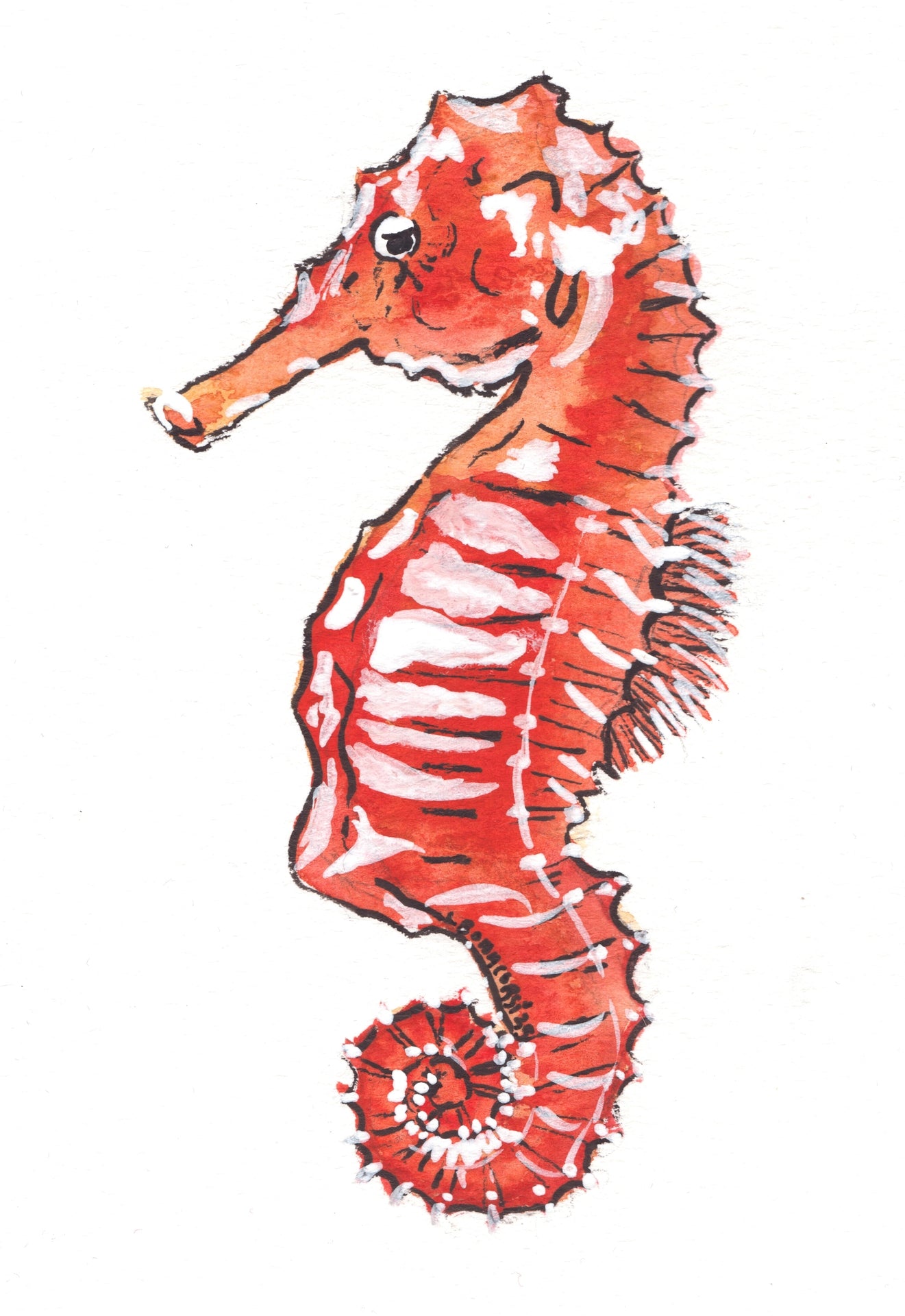 Seahorse