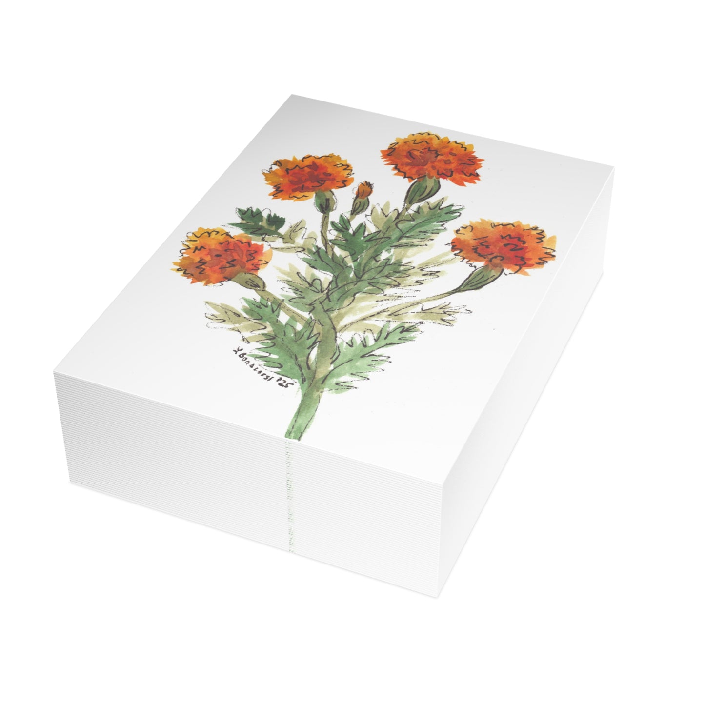 Marigolds Postcards  (5x7in • 10, 30, or 50pc)