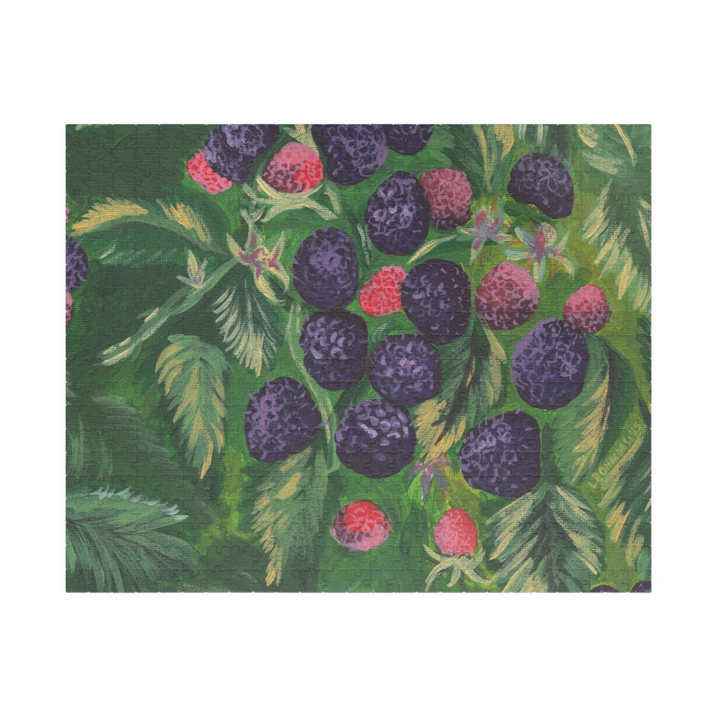 Black Raspberries (520 pieces)