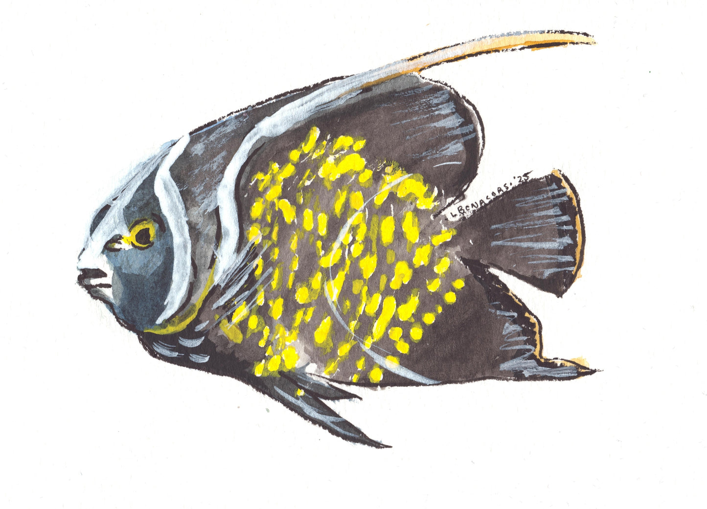 Caribbean Creatures Full Collection of 9