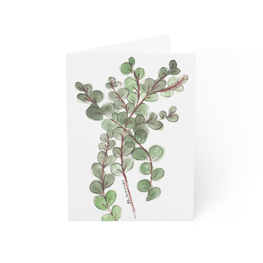 Eucalyptus Greeting Cards (10 or 30 pc)
