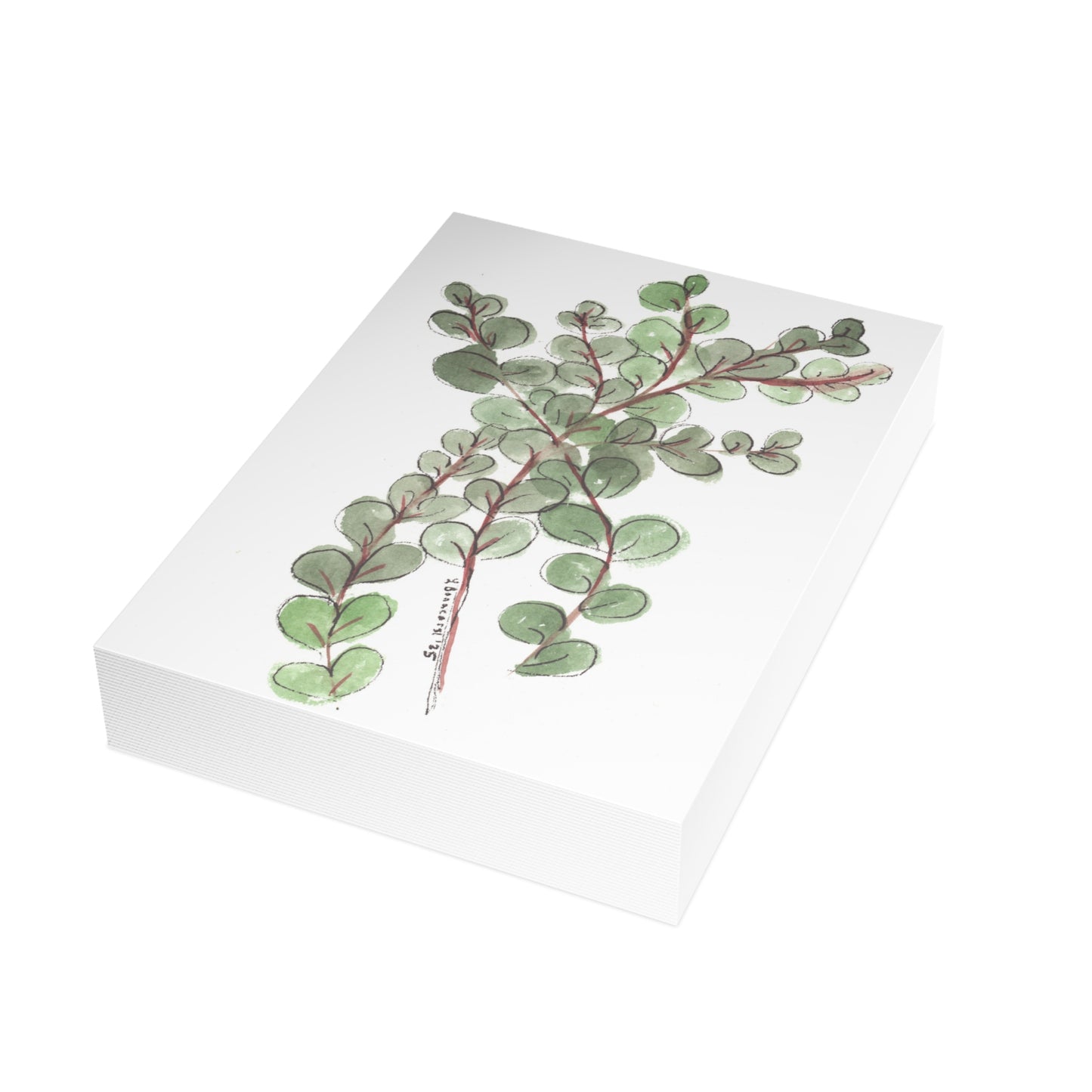 Eucalyptus Postcards (5x7in • 10, 30, or 50pc)