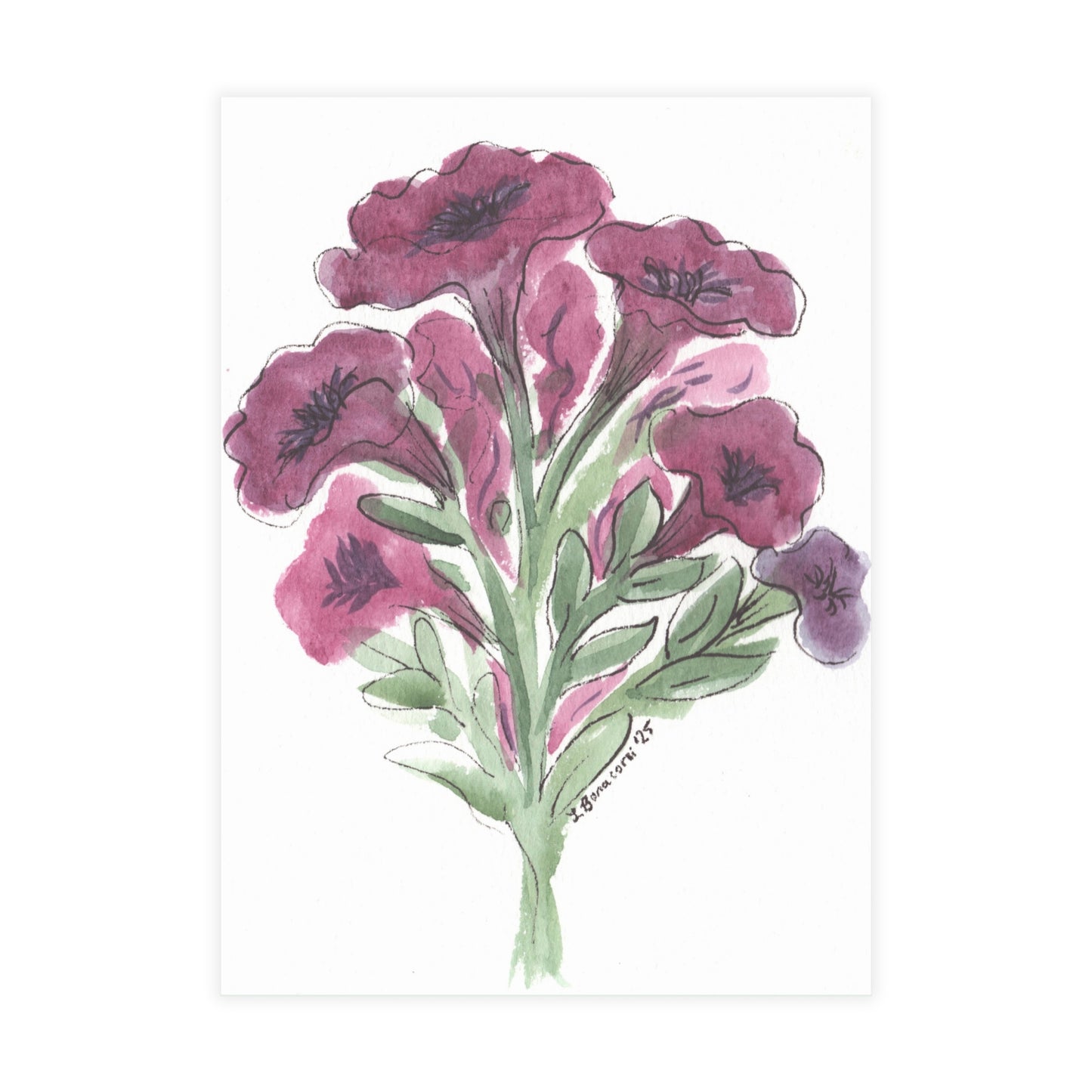 Petunia Postcards  (5x7in • 10, 30, or 50pc)