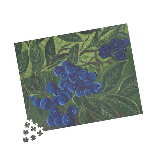 Blueberries (520 pieces)