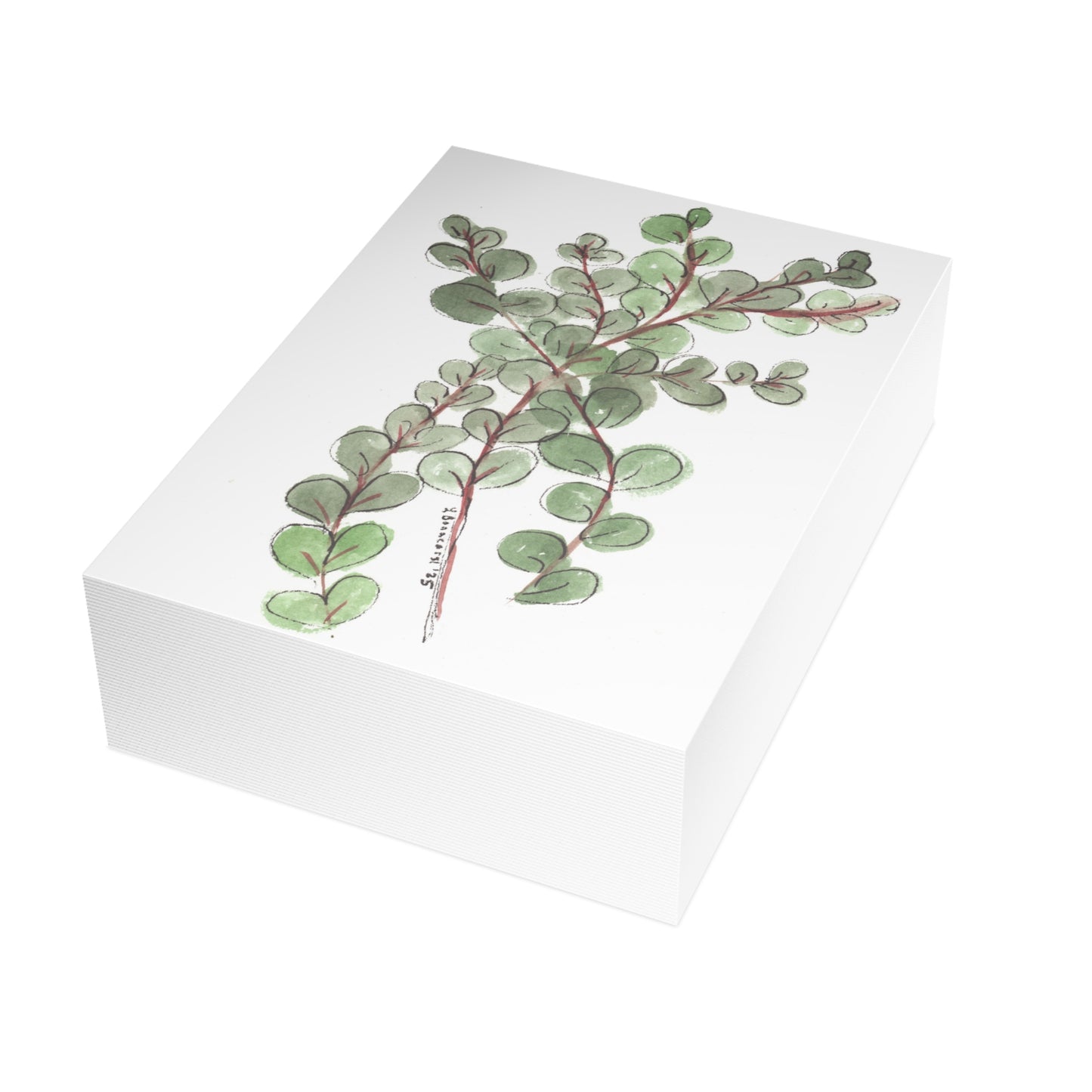 Eucalyptus Postcards (5x7in • 10, 30, or 50pc)