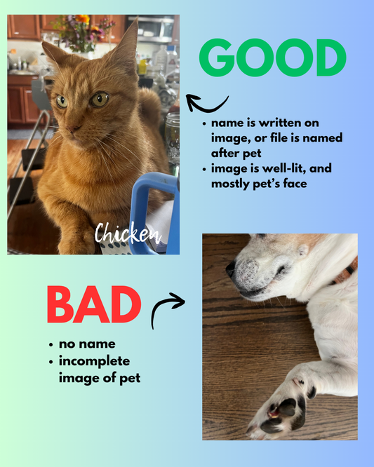 Custom Pet Coloring Page