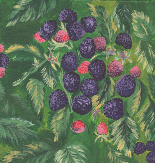 Black Raspberries