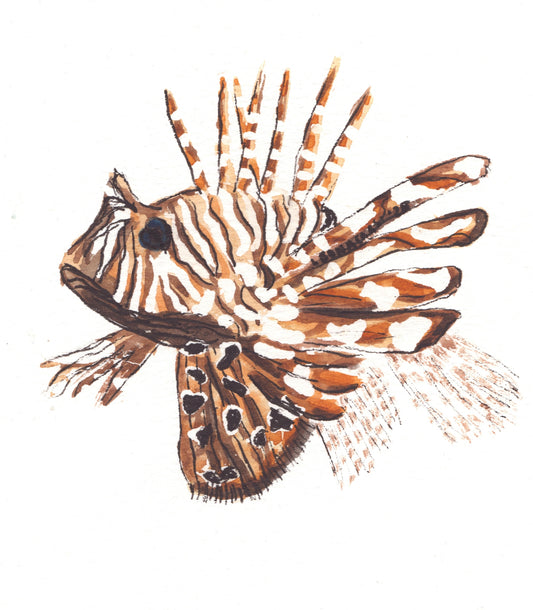 Lionfish