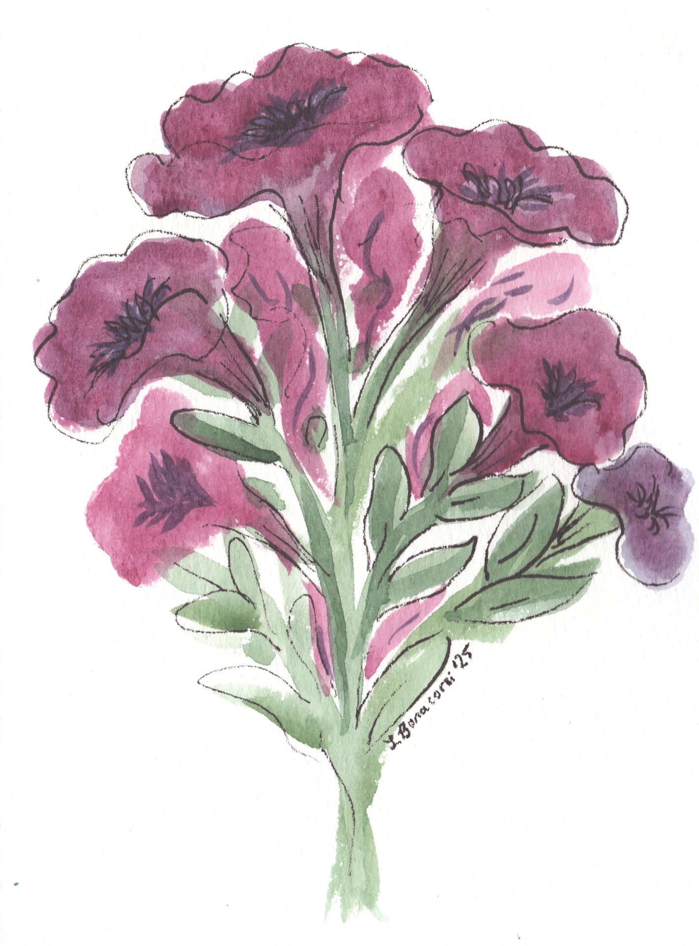 Petunias